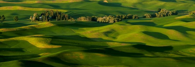 Palouse 11