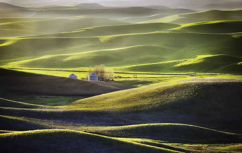 Palouse 3