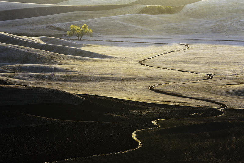 Palouse 4