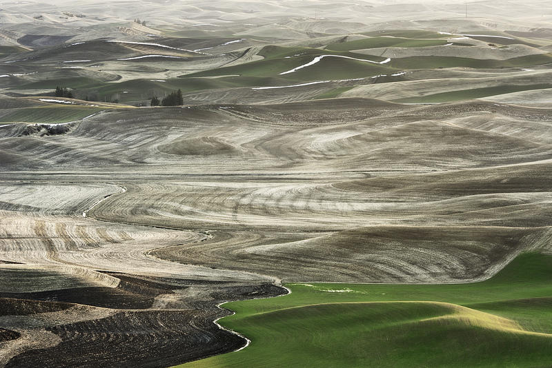 Palouse 5