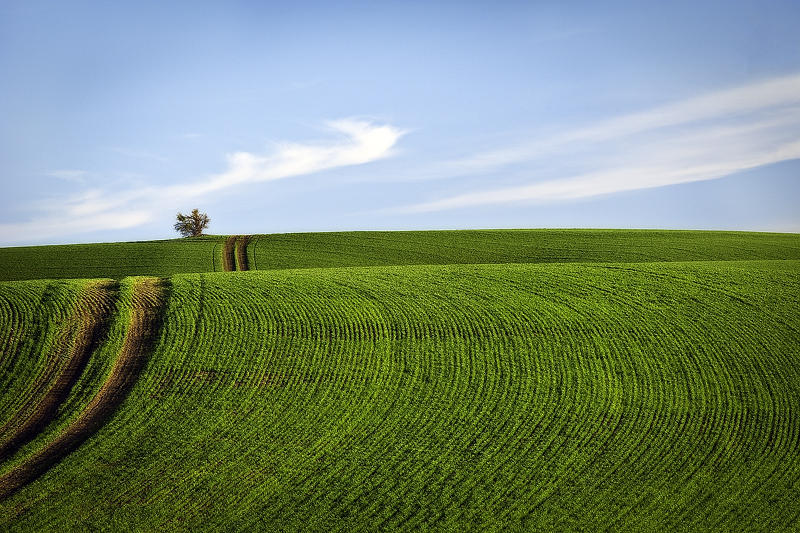 Palouse 6