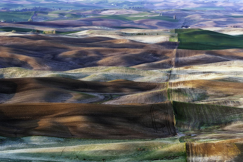 Palouse 7