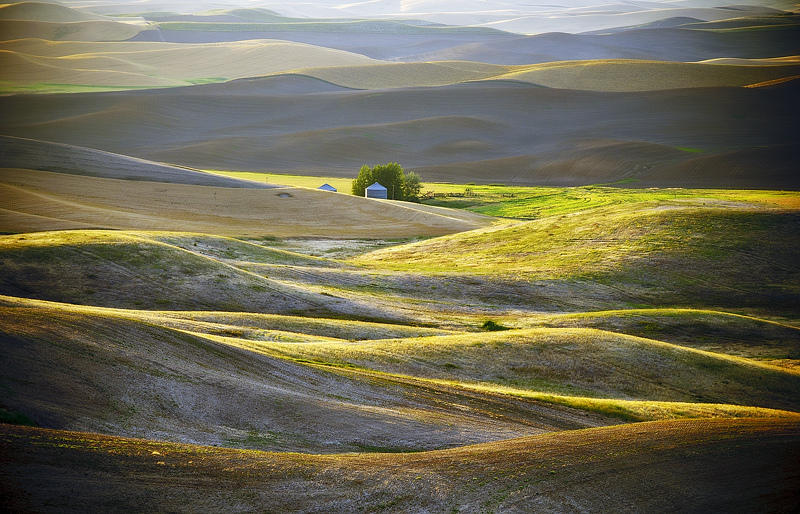 Palouse 8