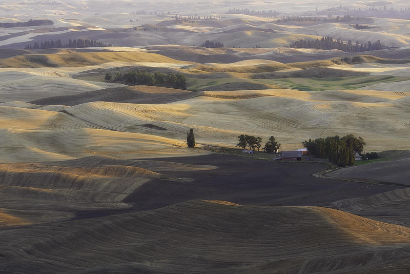 Palouse 9